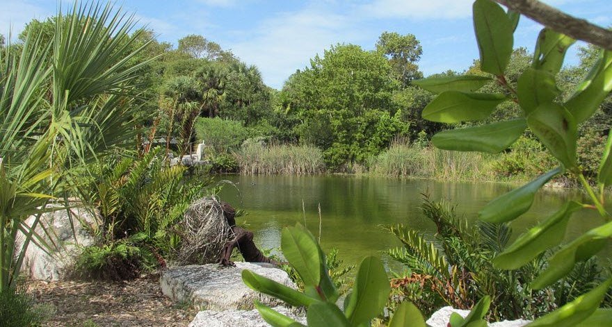 Key West Tropical Forest & Botanical Garden, United States